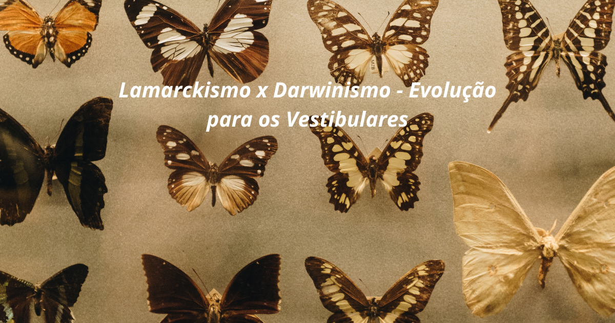 Lamarckismo x Darwinismo – Evolução para o Vestibular
